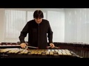 Majestic Vibraphone Artist Serie 3.0 Oktaven