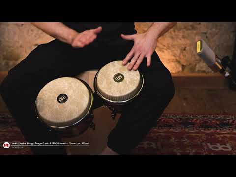 MEINL Artist Series Diego Gale Signature Bongos with Remo Fiberskyn Heads