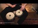 MEINL Artist Series Diego Gale Signature Bongos with Remo Fiberskyn Heads