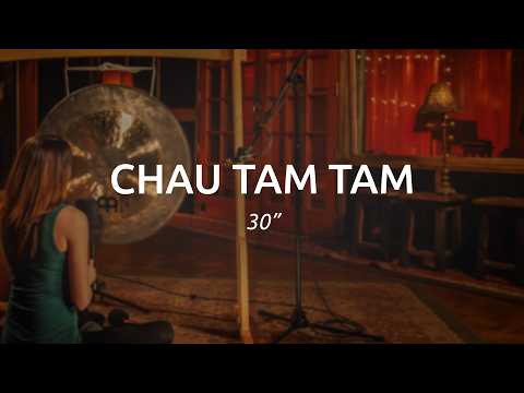MEINL Chau Tam Tam