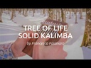 youtube - [Video]